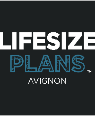 Lifesize Plans Launches in France
