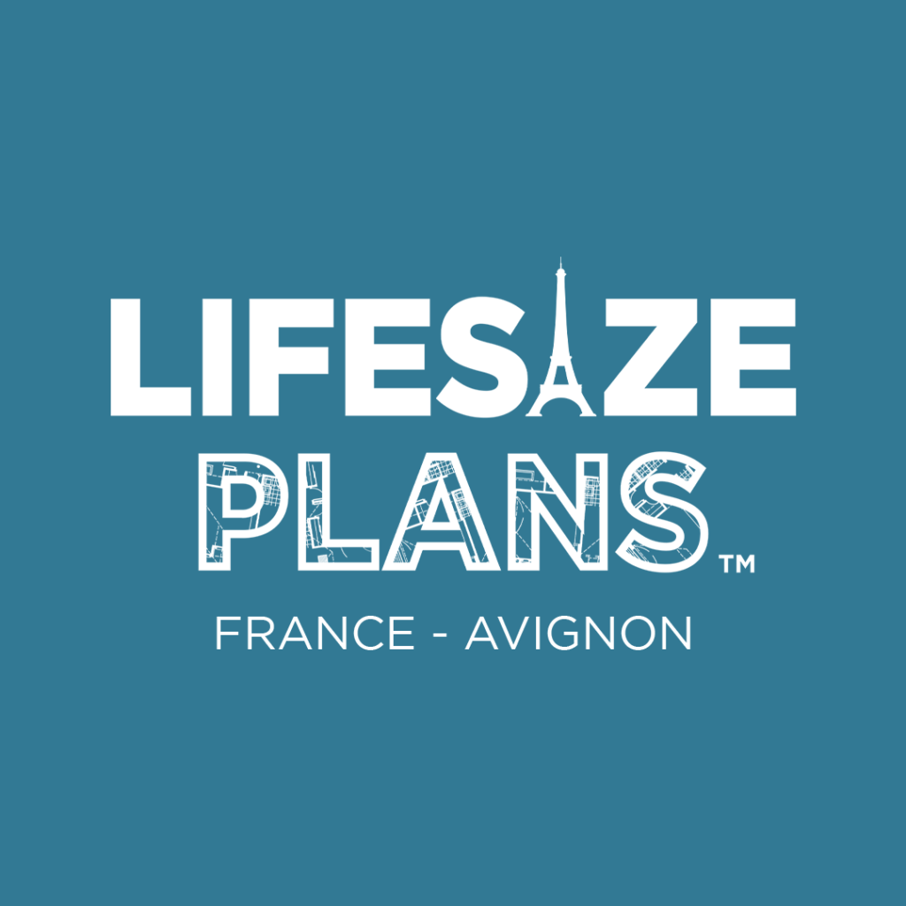 Lifesize plans france avignon